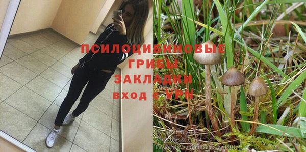 ПСИЛОЦИБИНОВЫЕ ГРИБЫ Аркадак