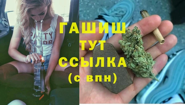 прущая мука Арсеньев