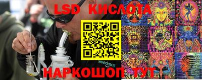 шишки Тара