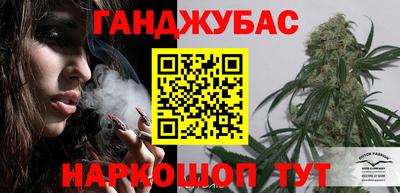 шишки Тара