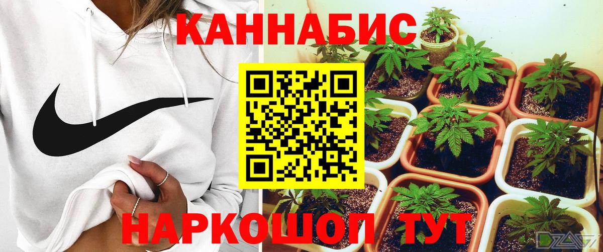 Канабис VHQ  Бошки марихуана LSD WEED  Курганинск  Вход с VPN  Бошки марихуана THC 21% 